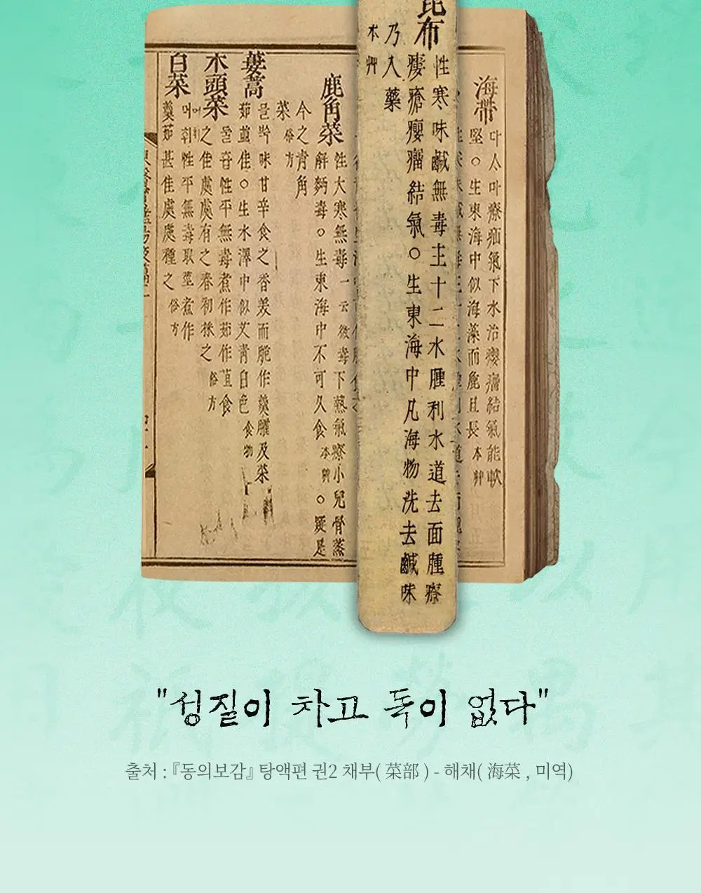 [즉각쿨링/SOS진정세럼] 션리 다시마 그리너리 세럼35ml 상세페이지 21